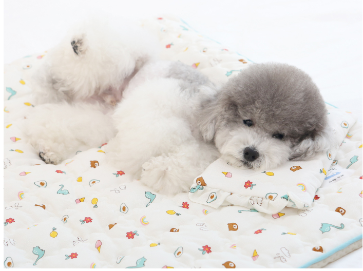 Petit Mignon Cooling Mat