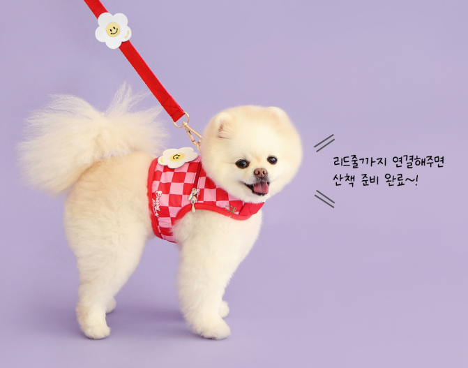 Ice Popping Cool Harness