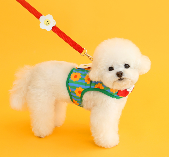 Ice Popping Cool Harness