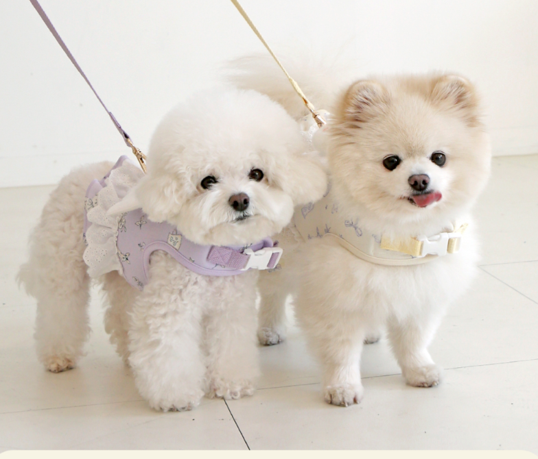 Petit Angel Harness