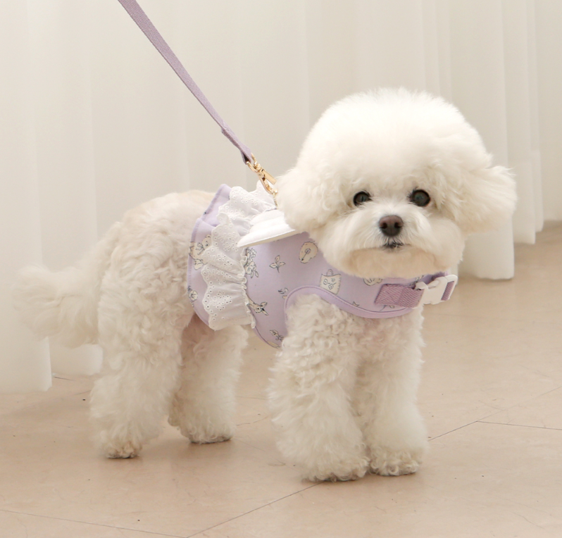 Petit Angel Harness