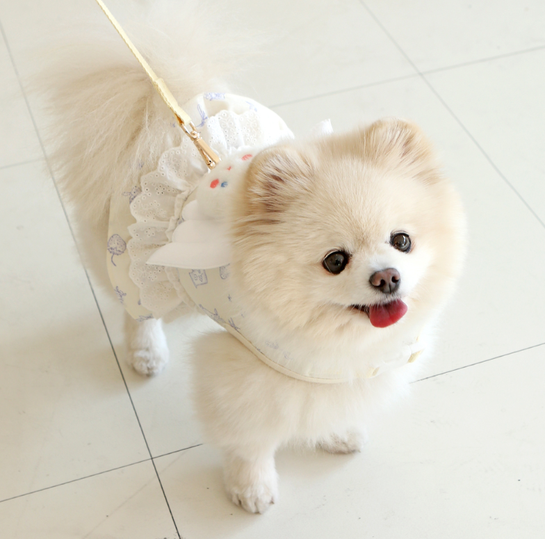 Petit Angel Harness
