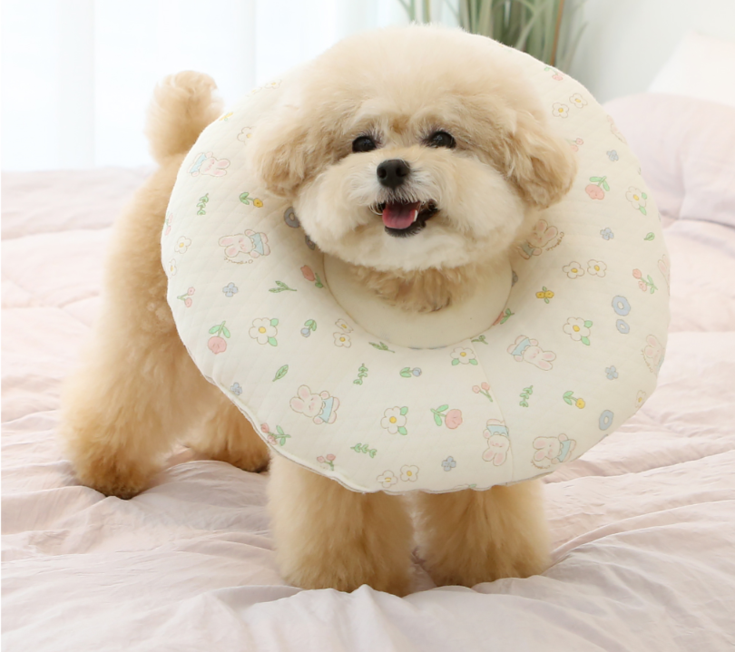 Organic Neck Collar