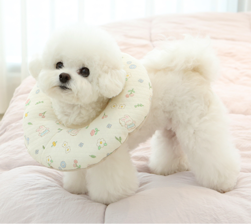 Organic Neck Collar