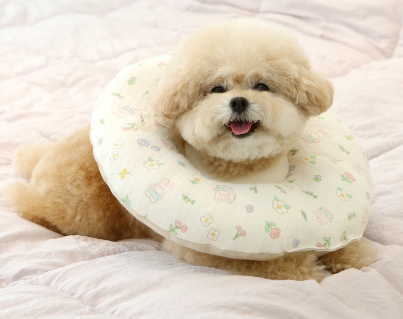 Organic Neck Collar