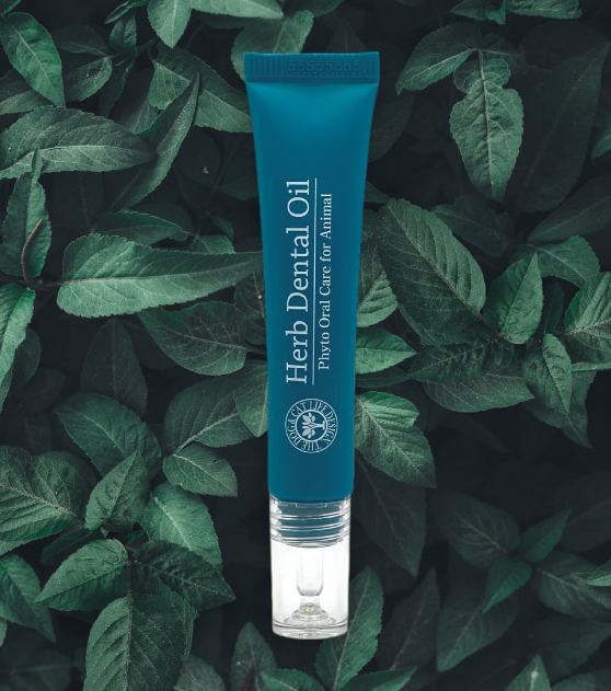 Herb Dental Oil