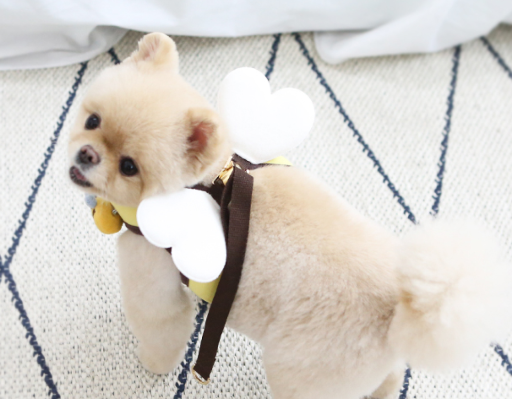 Honey Bee Harness
