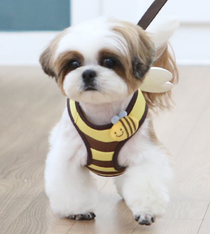 Honey Bee Harness