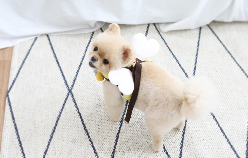 Honey Bee Harness