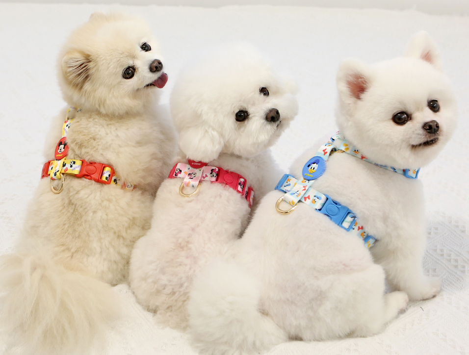 Disney H type harness