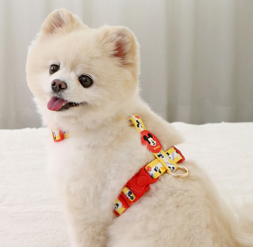 Disney H type harness