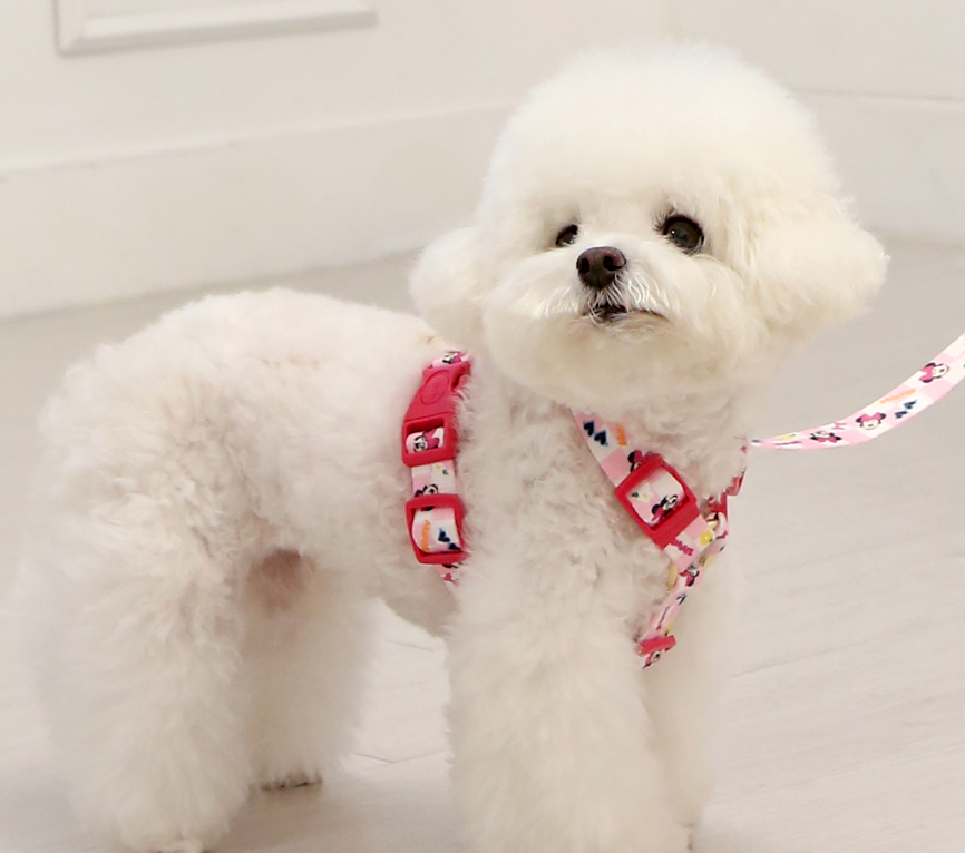 Disney H type harness