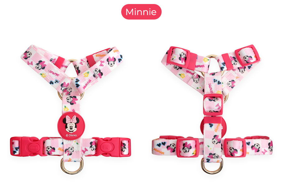 Disney H type harness