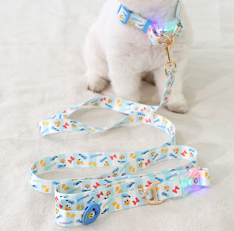 Disney Hands-Free LED Leash