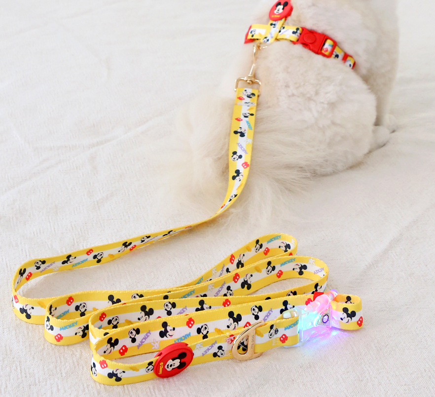 Disney Hands-Free LED Leash