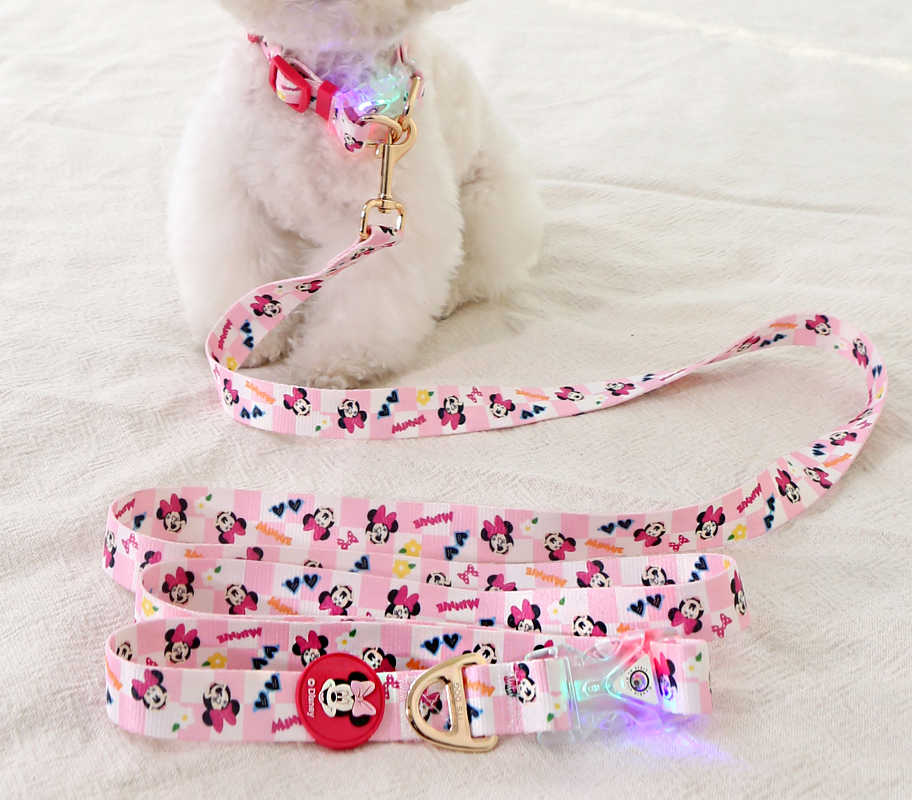 Disney Hands-Free LED Leash