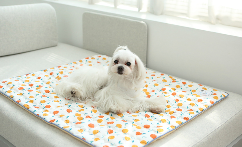 Orange Cooling Mat