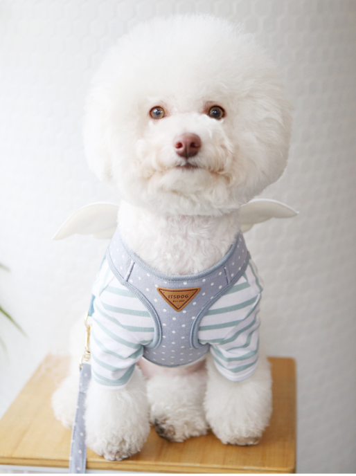 Sweet Angel Harness