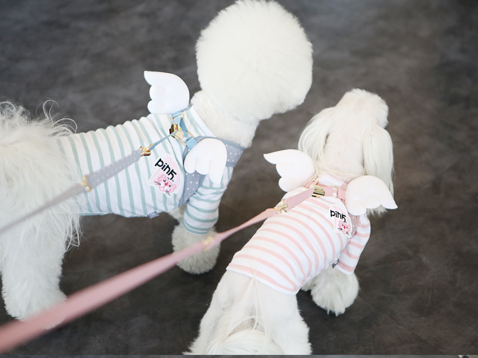 Sweet Angel Harness