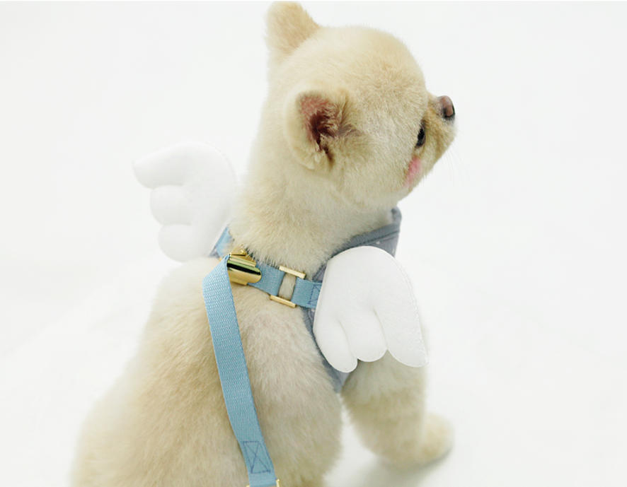 Sweet Angel Harness
