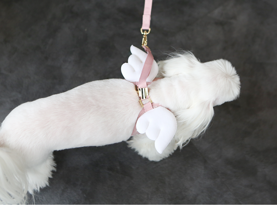 Sweet Angel Harness