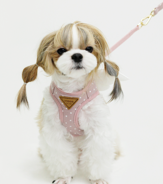 Sweet Angel Harness
